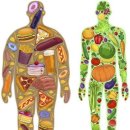 바디체인지 짐 이미지