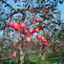 은혜동산 이미지