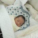 엄조산원 이미지