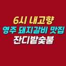 갈비만영주점 | 6시 내고향 영주 돼지갈비 맛집 | 잔디밭숯불 본점 위치 메뉴 가격 정보