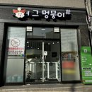멍뭉이 | 청주애견미용 허그멍뭉이, 스트레스 없는 비숑 목욕후기