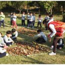 우포의 숲속 이미지