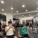 33한돼지 이미지