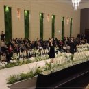 뮤지컬웨딩 이미지