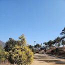 의령오리탕 | 의령리온cc 리온코스