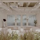 서강프라자 | 스타라이트 서강대점 11월 한정 프로모션 신촌 공유오피스 추천