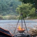 알프스농원 캠핑장 이미지