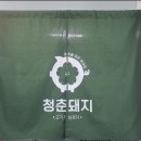 중문청춘돼지