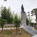 나무이야기 이미지