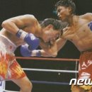 더파이팅복싱짐 체육관 이미지