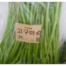 우네농장 이미지