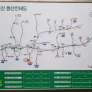 진틀펜션캠핑장 이미지