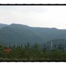 청인행정사사무소 이미지