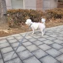 ROCK 코인 노래연습장 네이버블로그