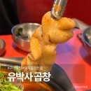 디저트박사 | 내돈내산 구리 곱창전골 맛집 유박사 곱창 후기