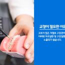 정송우바른이치과 네이버블로그