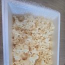 면역력을 위한 하루 한 포, 바이오글루칸 황금 꽃송이버섯 솔직 후기