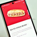 필리호기 | 눅눅 축축하긴한데 스타벅스 겨울 홀리데이 신메뉴 필리 치즈 브리오슈 샌드위치 후기