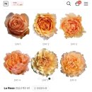 인챈트먼트 이미지