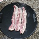 매네농장 | 대구근교추천 벚꽃캠 유명지 포항 비손농장 1박2일 후기