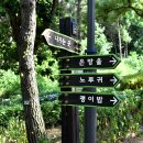 태학산자연휴양림 이미지