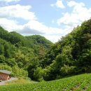 노화농장 이미지