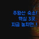 모텔갤러리 | 숙소 베스트 3곳 총정리 | 소노벨 주왕산황토방갈로 갤러리모텔 | 직접 경험한 솔직한 숙소 선택 가이드