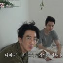 팡팡 이미지