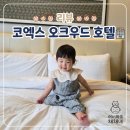 호텔오크우드프리미어 | [내돈내산] 14개월 아기와 코엑스 오크우드 프리미어 호텔 호캉스 후기 (룸 업그레이드, 아기가드, 조식)