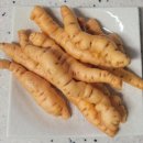 약용식물전문가과정 이미지