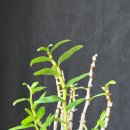 선달농장 이미지