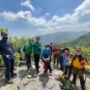 대충산사 번개산행~ [주차장~ 철쭉단지~ 월성봉~ 영주사~ 바랑산~ 철쭉단지~ 주차장] 이미지