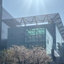 뚜벅이들의 우여곡절 강릉 여행기