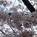 하동문화예술회관 이미지