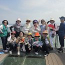 8월 홍성 죽도 섬 여행 -죽도 6 이미지