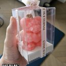 보름세탁소 | 3월 호치민 일상 기록