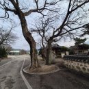 참좋은회관경로당 이미지