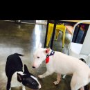 이아이앤테리어 이미지