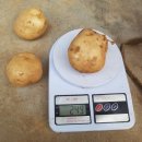 성근농장 이미지