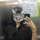김인옥미용실