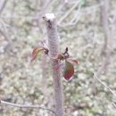 한일농장 이미지