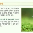 에덴약국 이미지