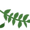 고잔최고한의원 이미지