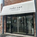 쥬디캣(Judy Cat) | 부산고양이미용 빠르고 안전하게 무마취미용 가능한 쥬디캣