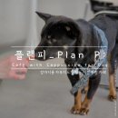 [동탄카페] 플랜피 : 강아지 메뉴가 있는 동탄 애견동반카페