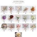 [스몰웨딩 기록 #14] 헤어&amp;메이크업 | 부케 | 포토존&amp;웨딩아치 | 본식 스냅 | 동영상 촬영 | 사회자...