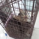 성산2동 주민센터 이미지