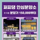 퍼피댕 강아지분양 안심분양소 청주점 말티푸미니비숑토이푸들 이미지