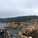 영투어 이미지