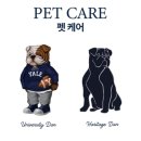 위즈에듀케이션 | 강아지옷 추천! 강아지후드티 #예일 #펫웨어 반려견과 커플룩 입기